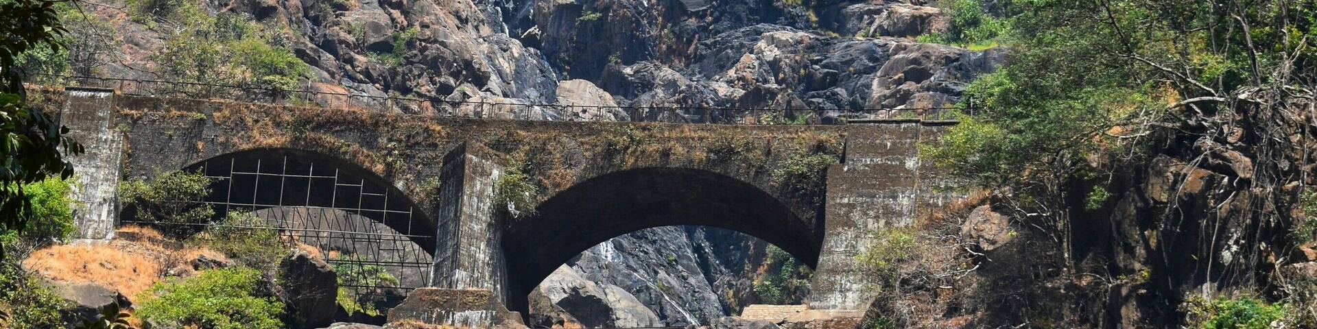This majestic waterfall flows down from an impressive height of 1017ft and is a beauty to behold! Cascading down four tiers, it's culminates into a pool of cool milk-white water. If you go to South Goa, never miss out on this sight!