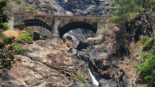 This majestic waterfall flows down from an impressive height of 1017ft and is a beauty to behold! Cascading down four tiers, it's culminates into a pool of cool milk-white water. If you go to South Goa, never miss out on this sight!