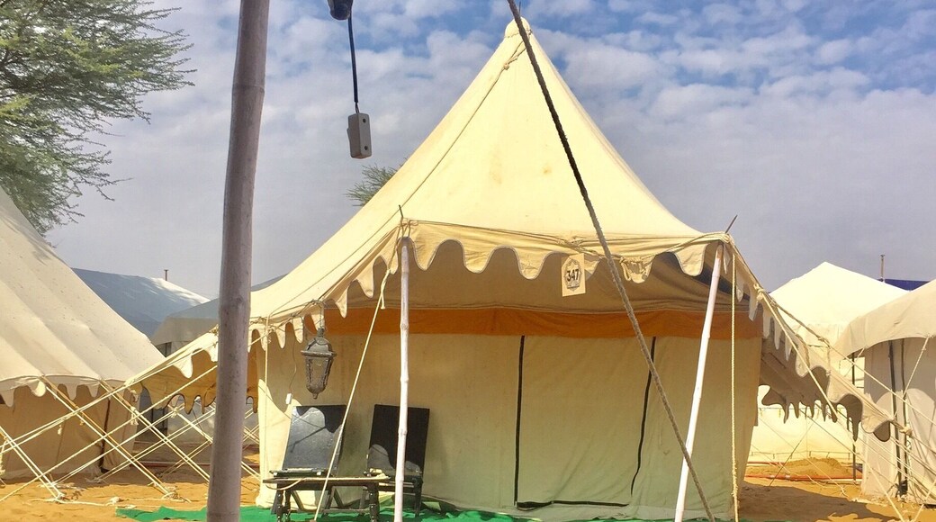 Winter morning out in the desert. Camping in the tents during #MagneticFields. A festival to make your winters warmer #WinterWonders