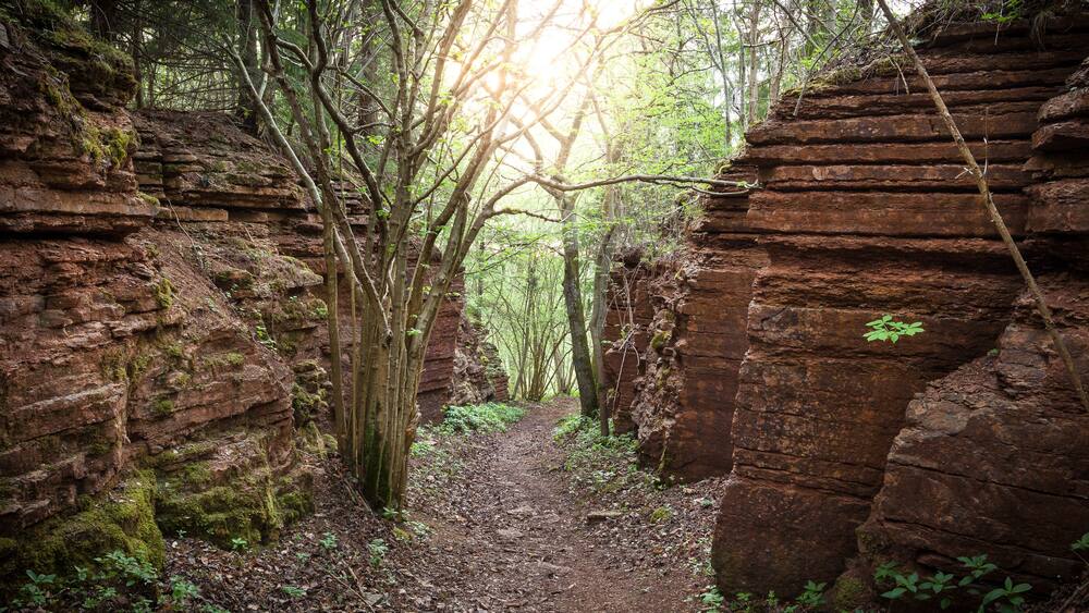 Ravine