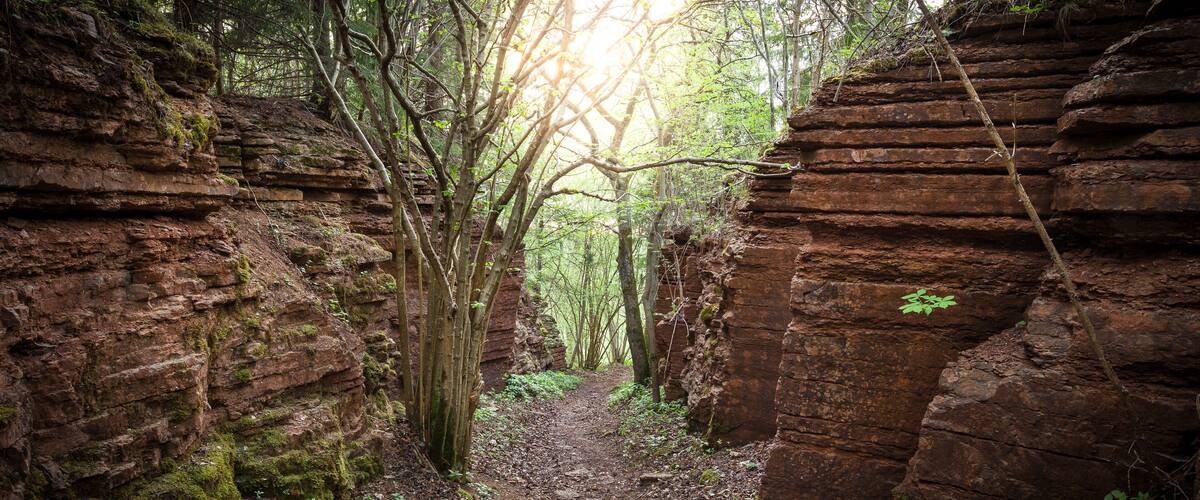 A narrow forest path flanked by ancient, moss-covered stone walls.