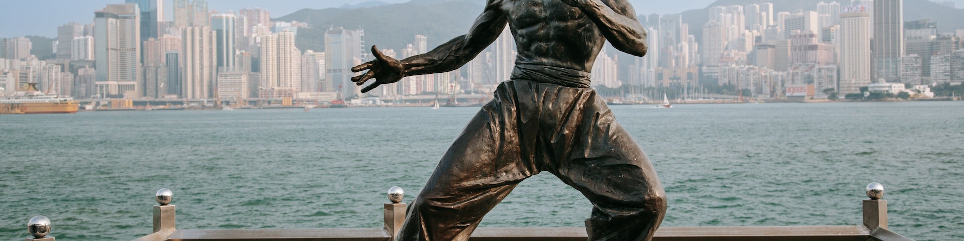 九龍 设有 戶外藝術, 城市 和 海灣或海港