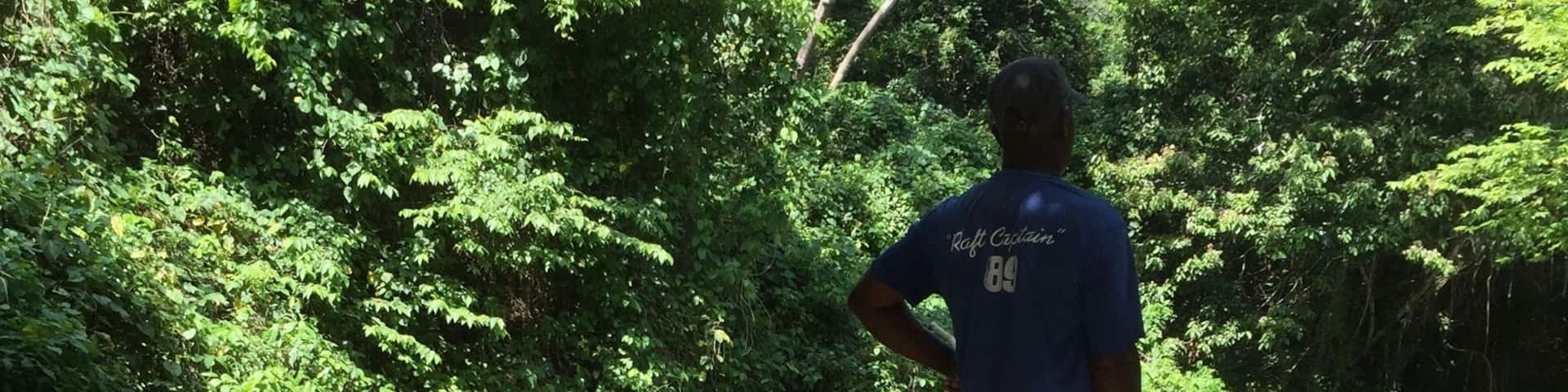 Absolutely LOVED drifting along on this bamboo raft. This activity took place in Falmouth, Jamaica. We were travelling down the river to Montego Bay. Highly recommend. Amazing sounds and scenery
#jamaica #river #bambooraft #peaceful #nature