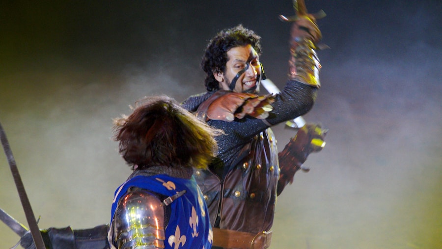 Cena show Medieval Times mostrando arte escénica y también un hombre