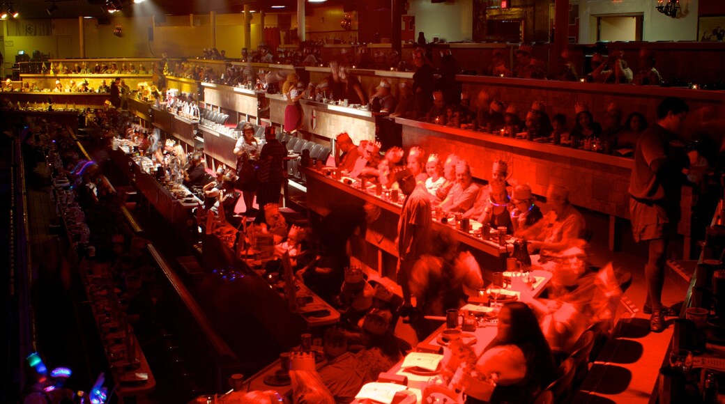 Medieval Times fasiliteter samt nattbilder og innendørs i tillegg til en stor gruppe med mennesker