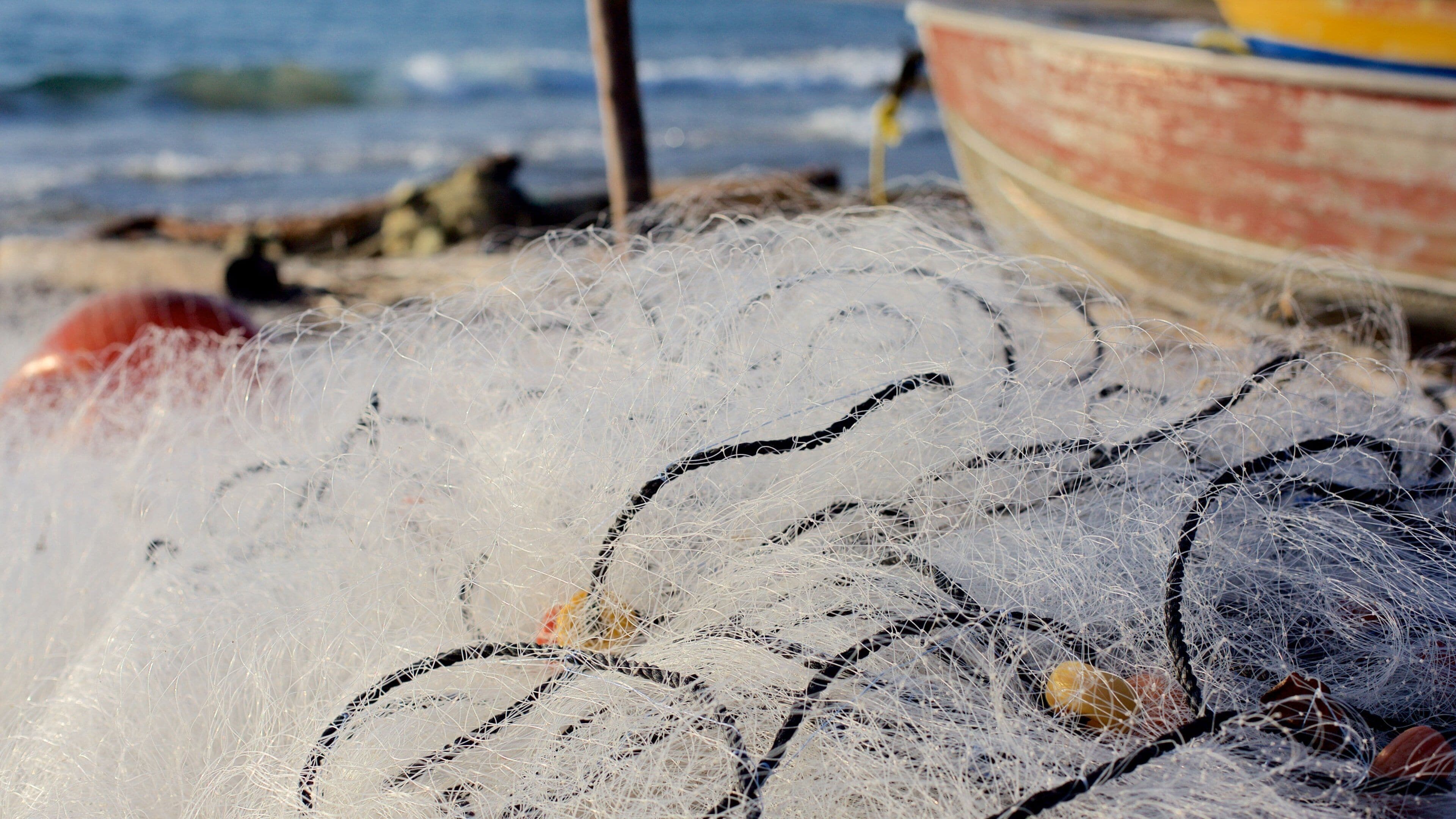 Côte sud qui includes pêche
