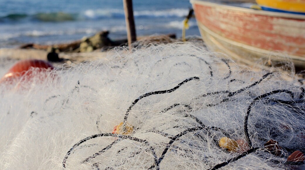 CĂŽte sud qui includes pĂȘche