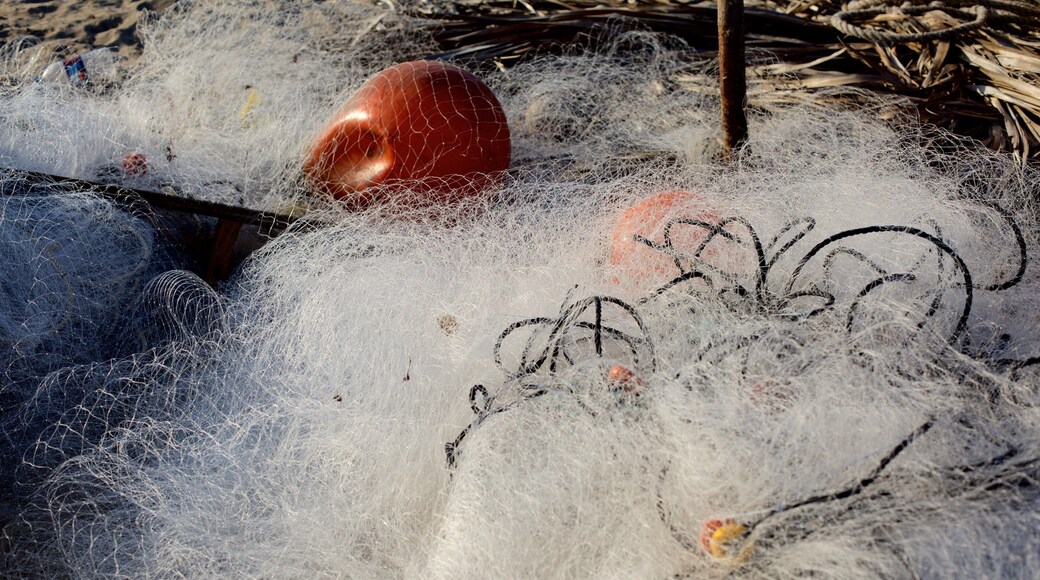 CĂŽte sud montrant pĂȘche