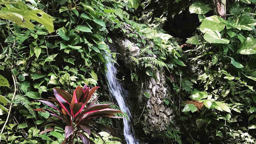 #red #waterfall #jamaica
Beautiful location in Port Antonio! Jamaica has much to explore. #Geejam hotel is off the beaten path but boutique luxury.