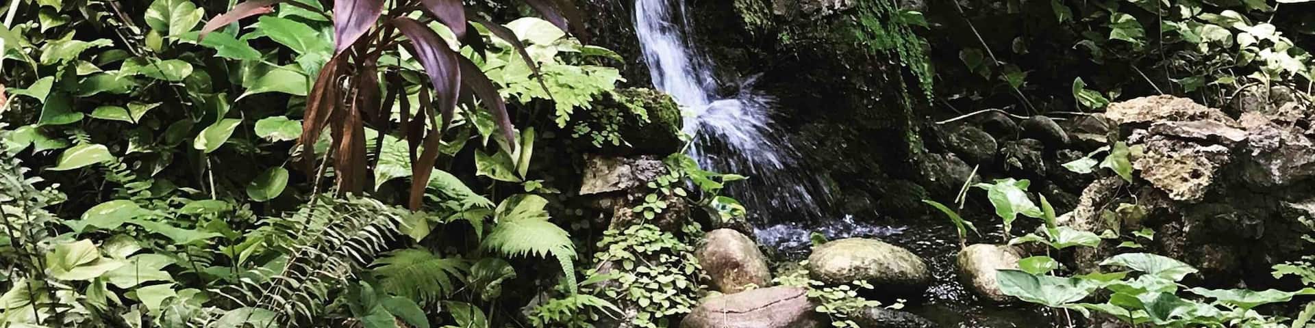 #red #waterfall #jamaica
Beautiful location in Port Antonio! Jamaica has much to explore. #Geejam hotel is off the beaten path but boutique luxury.