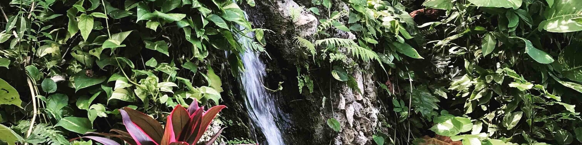 #red #waterfall #jamaica
Beautiful location in Port Antonio! Jamaica has much to explore. #Geejam hotel is off the beaten path but boutique luxury.