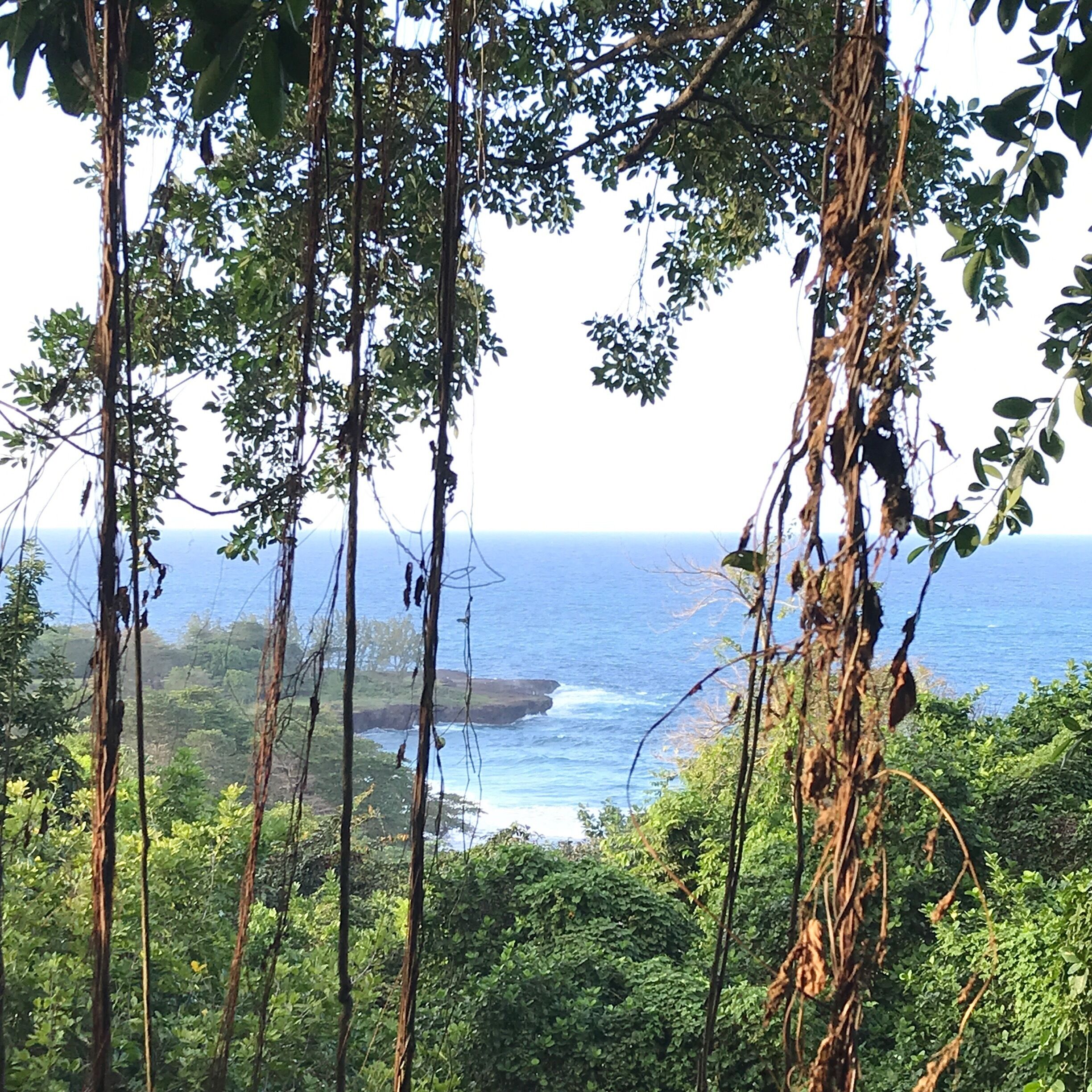 #lifeatexpedia Peek-A-Boo vistas galore from this boutique gem