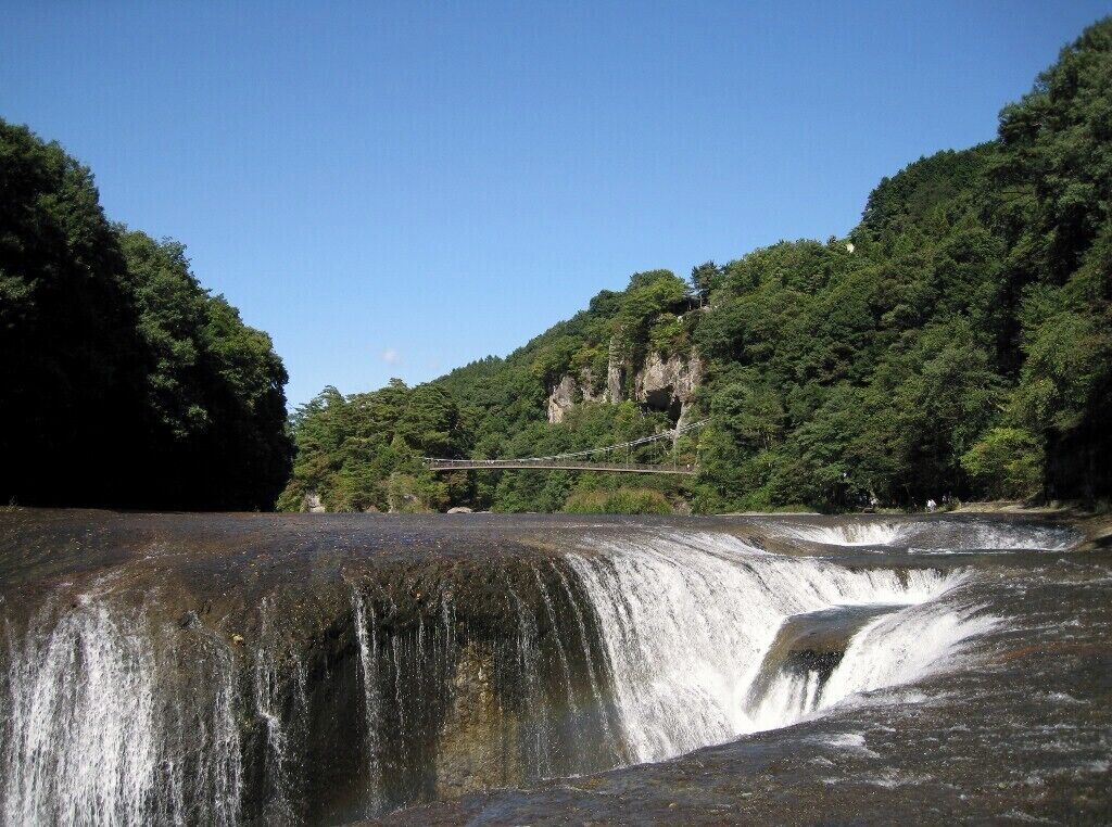 A waterfall cascading over a rocky ledge surrounded by dense forest.