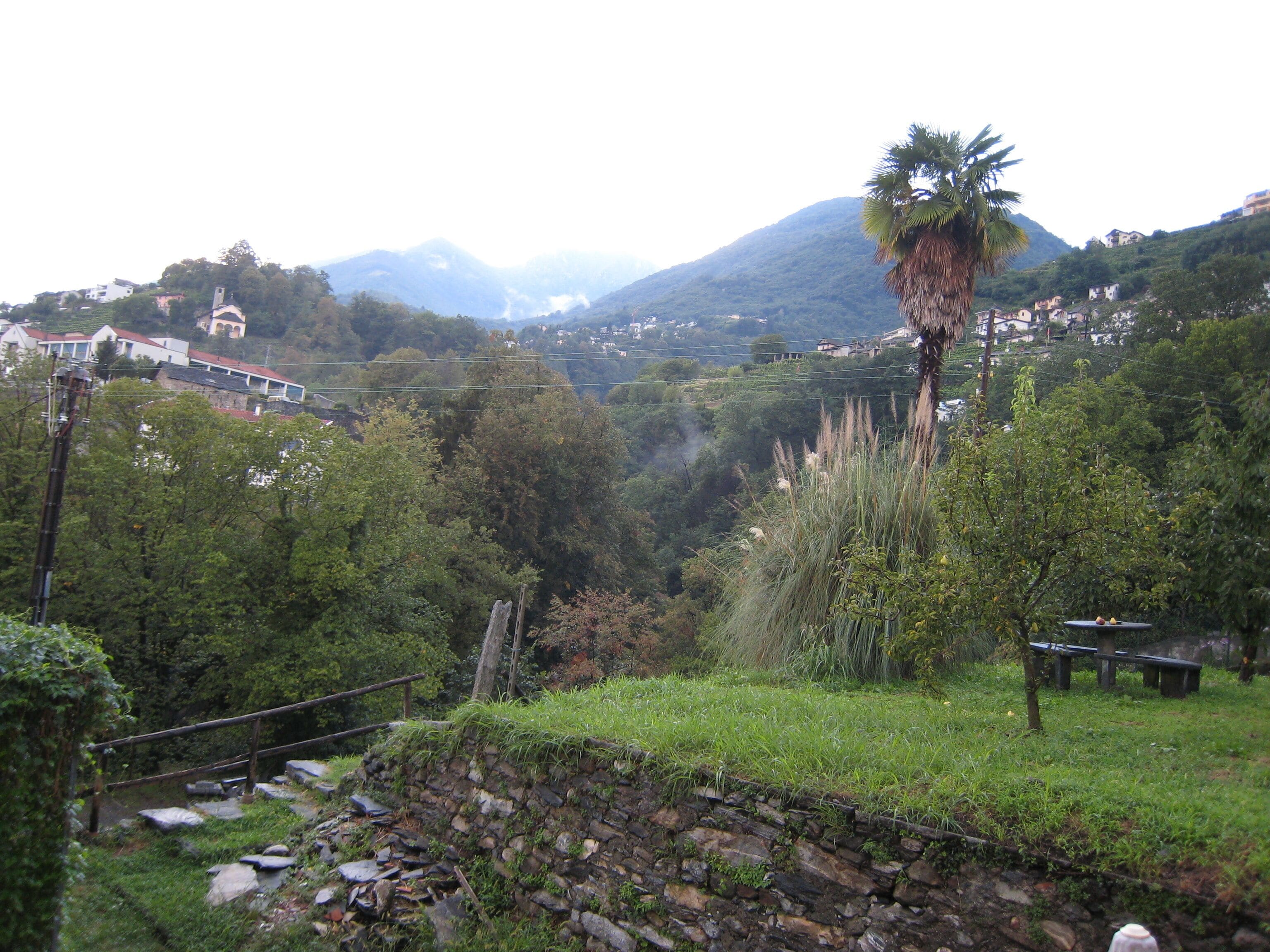 Un valle exuberante con un muro de piedra, una palmera y montañas a lo lejos.
