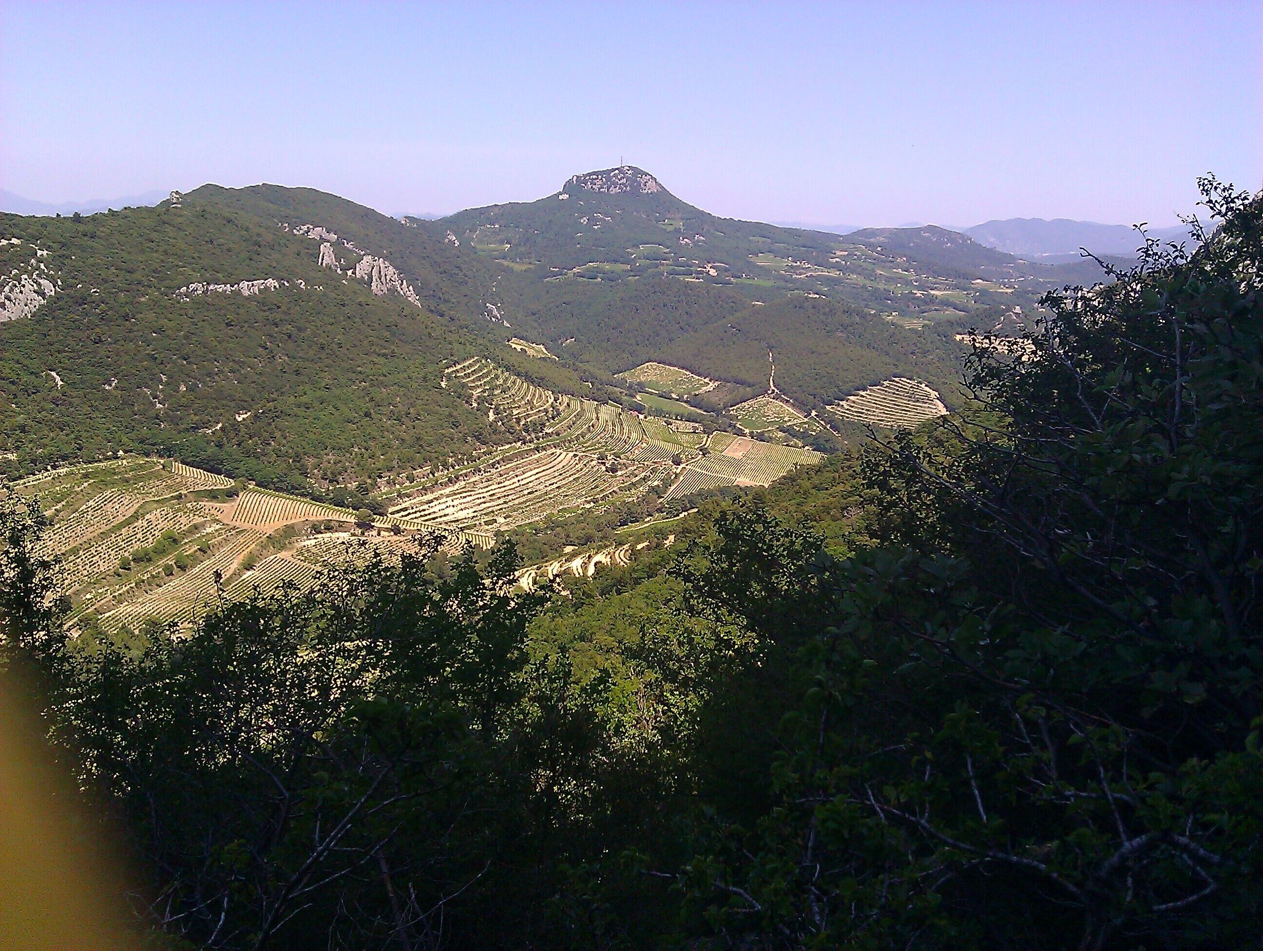 View eastward from the Dentelles de Montmirail