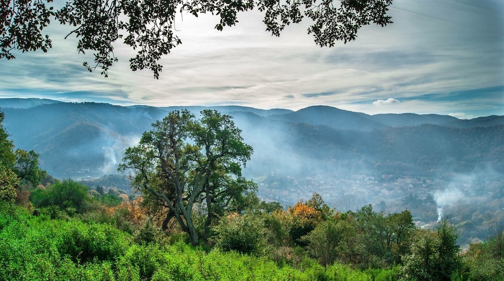 This is #Collobrières, a small #village lost in the middle of the #forest with #amazing #views