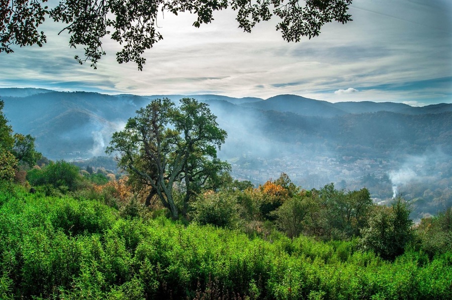 This is #Collobrières, a small #village lost in the middle of the #forest with #amazing #views