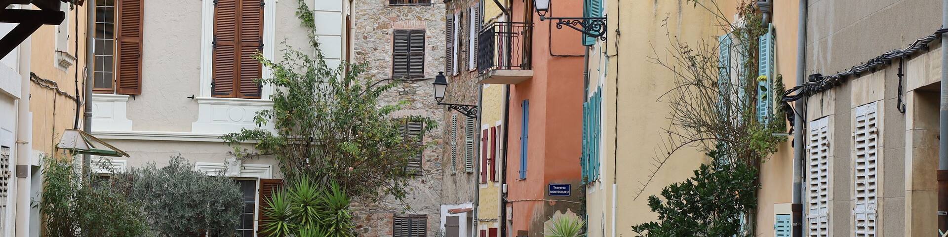 A cobblestone street lined with colorful buildings, potted plants, and a cat walking down the path.
