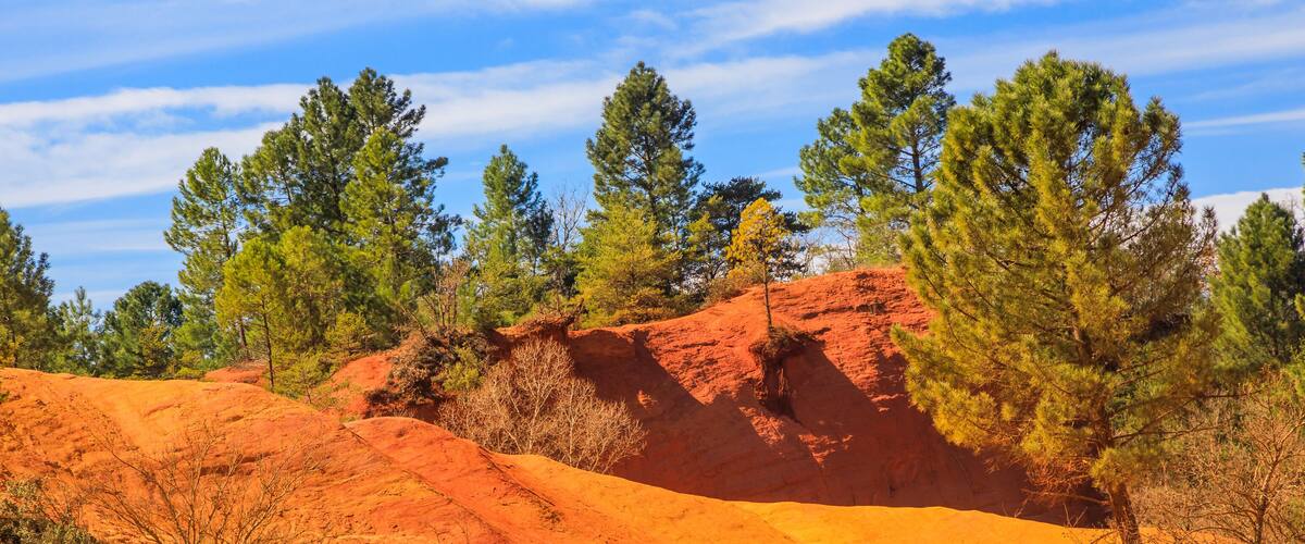 A landscape with red sandstone hills and tall pine trees under a clear blue sky.