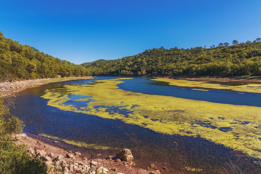 Lake Carcès in France, provence, cote d'azur, var