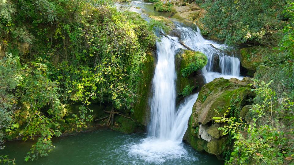 A waterfall cascading over moss-covered rocks in a lush, green forest.