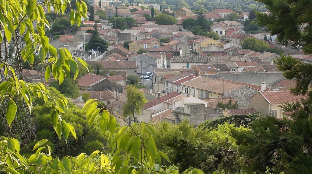 View of Chateaurenard