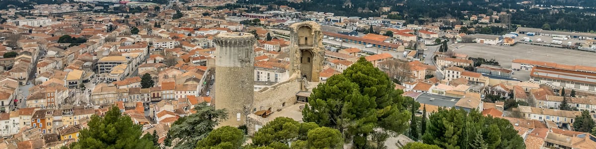 A panoramic view of a city with a prominent tower, dense urban area, and surrounding greenery.