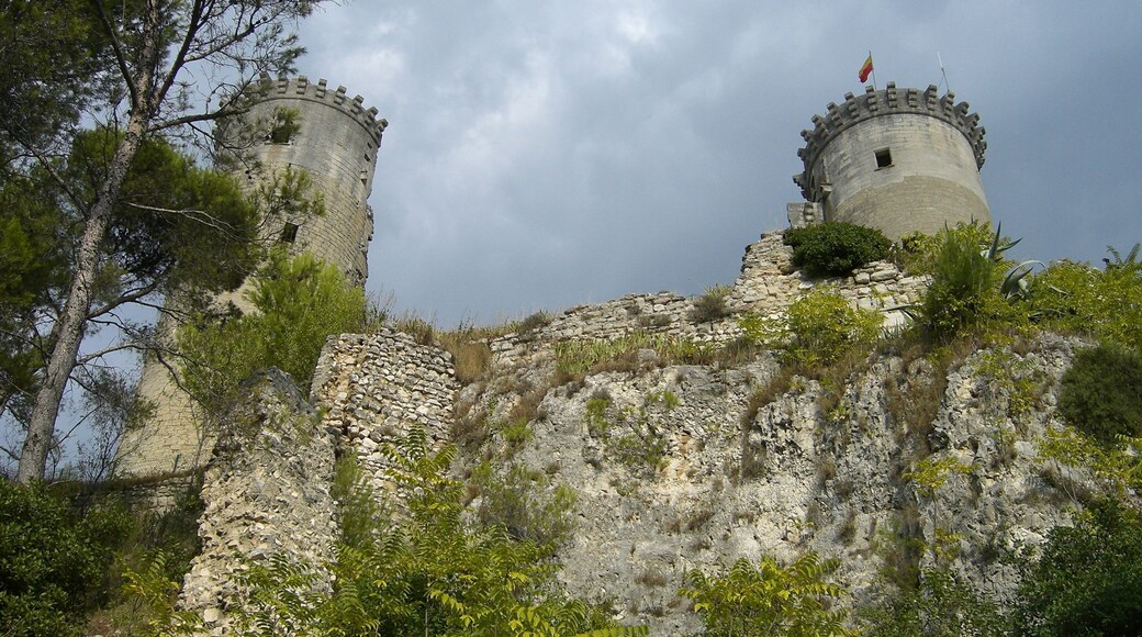 Chateau a Chateaurenard