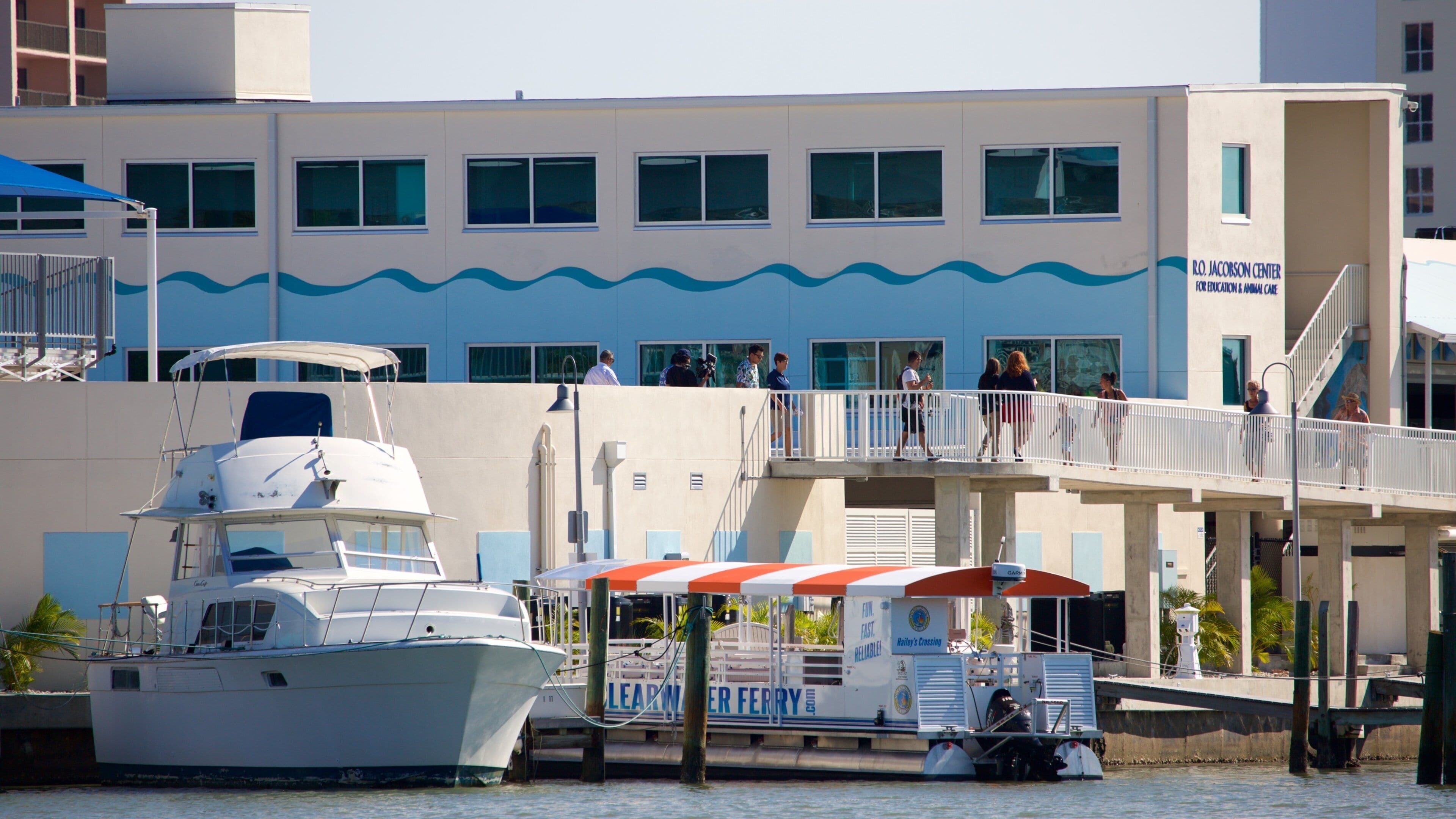 Clearwater Marine Aquarium