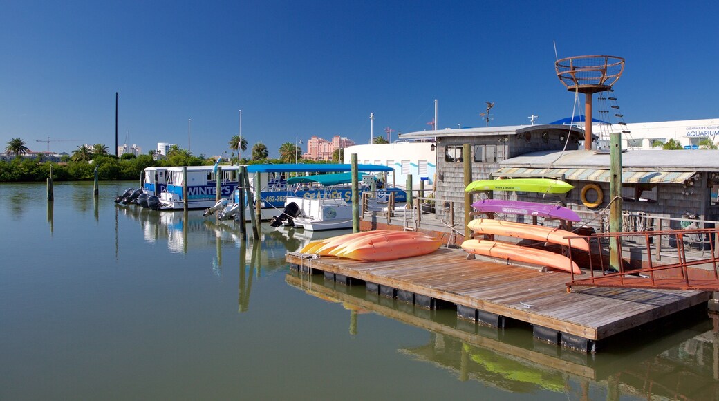 Clearwater Marine Aquarium showing a marina