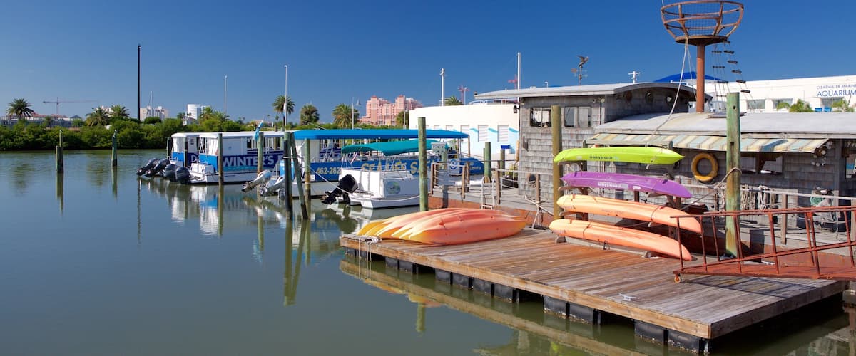 Clearwater Marine Aquarium showing a marina