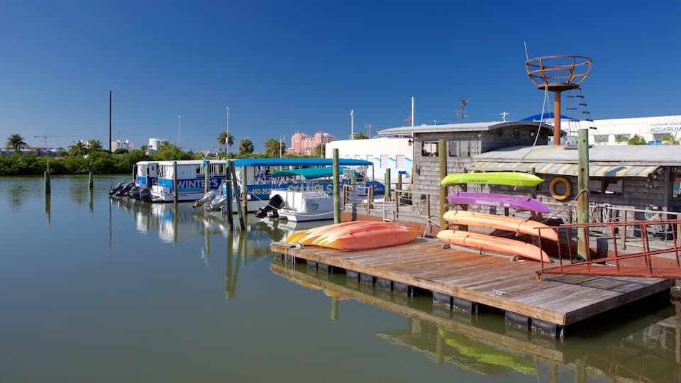 Clearwater Marine Aquarium showing a marina