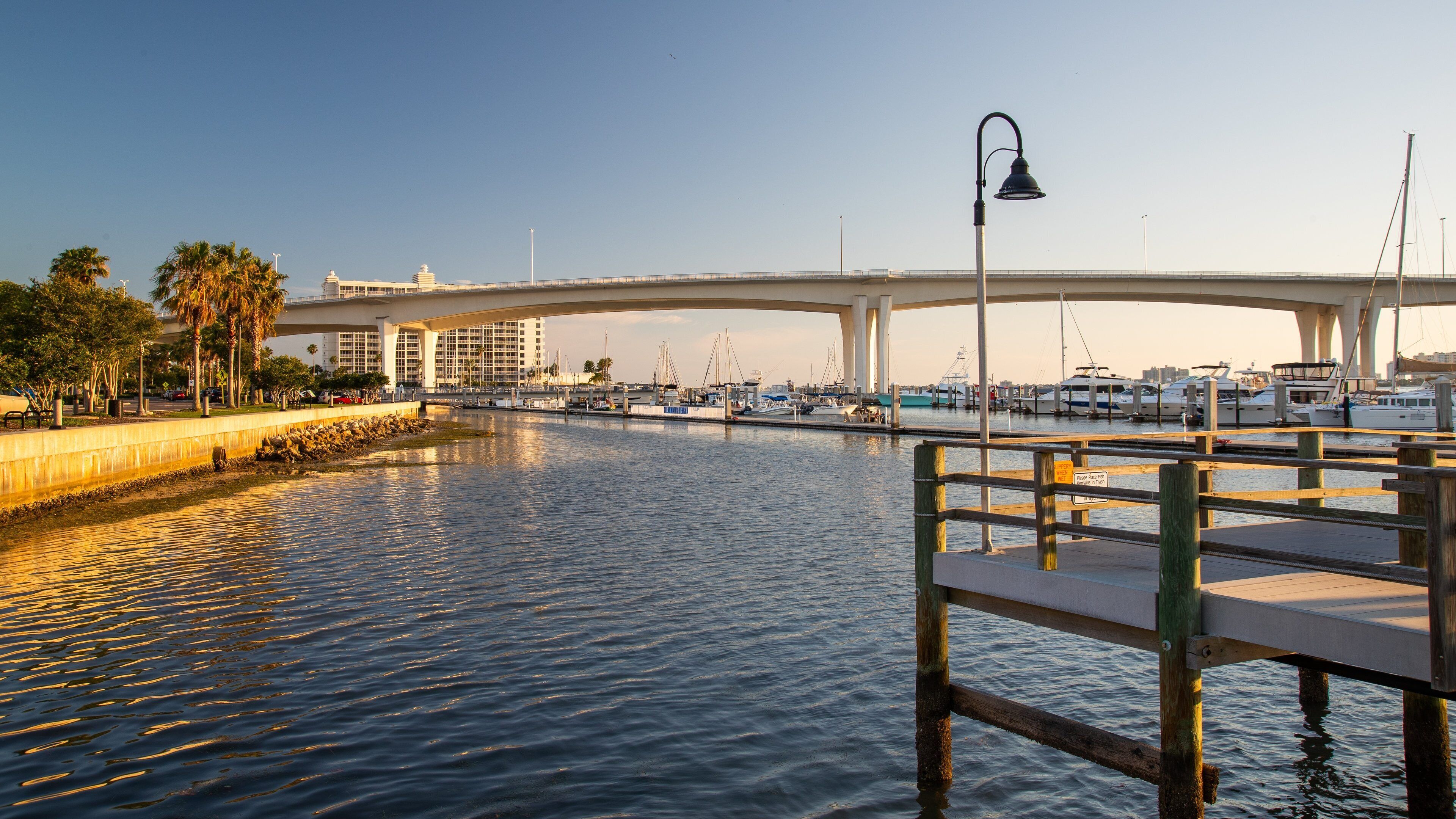 Clearwater showing a sunset and a bay or harbor