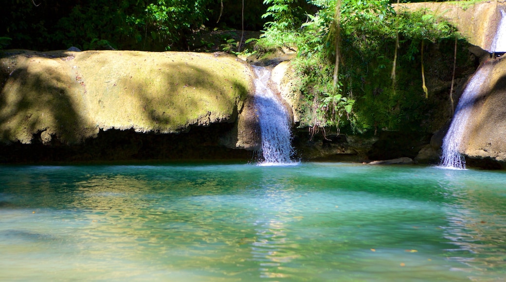 YS Falls inclusief een meer of poel en een cascade
