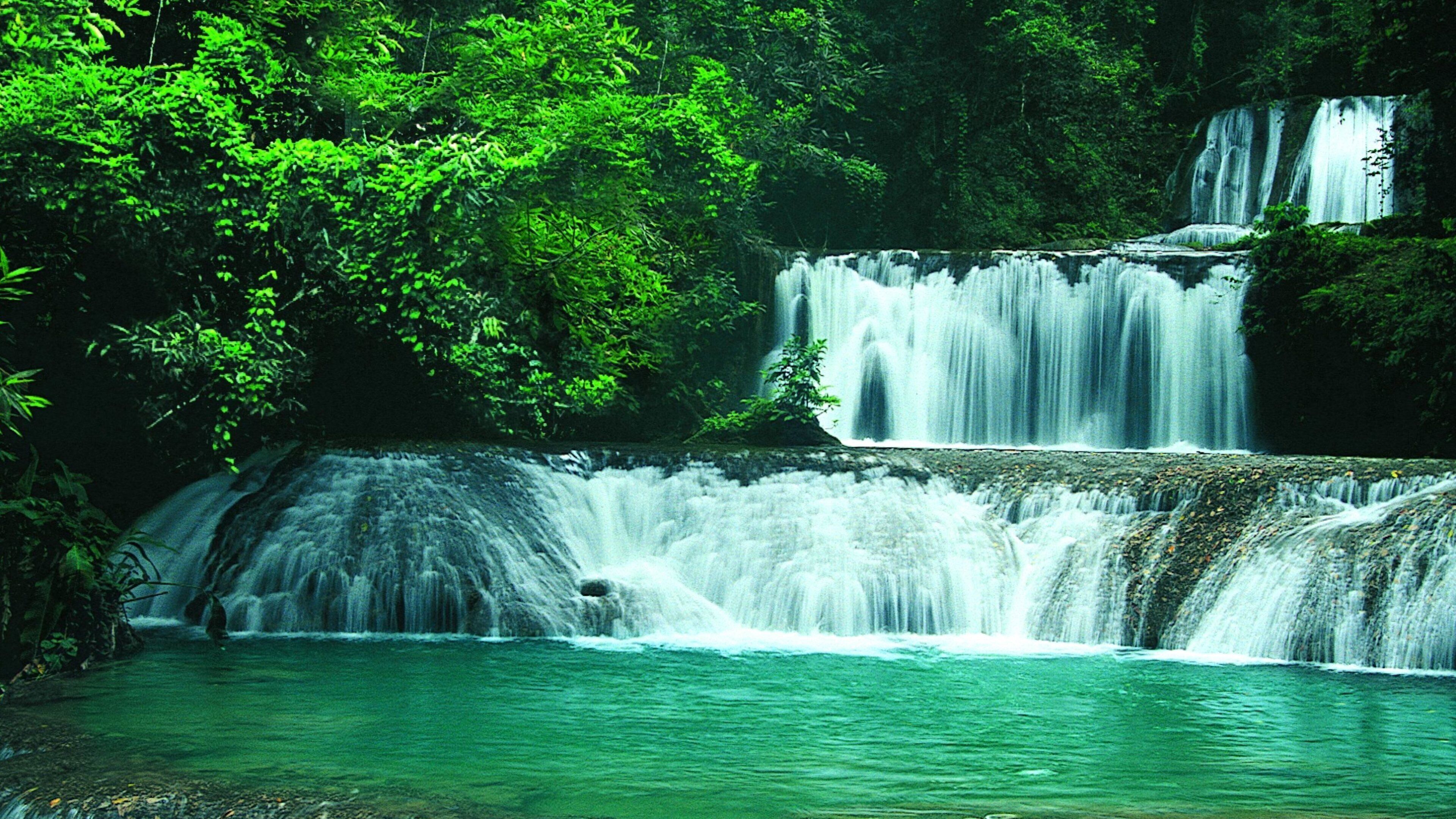 YS Falls toont regenwoud en een cascade