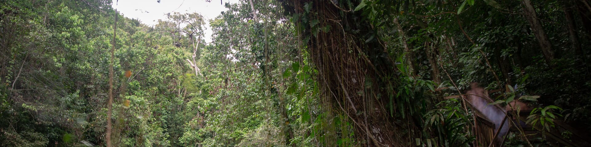 A waterfall cascading over a rocky ledge surrounded by dense forest.