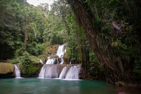 A waterfall cascading over a rocky ledge surrounded by dense forest.