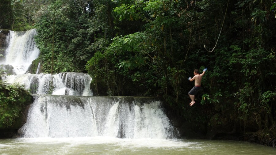 YS Falls showing a cascade as well as an individual male