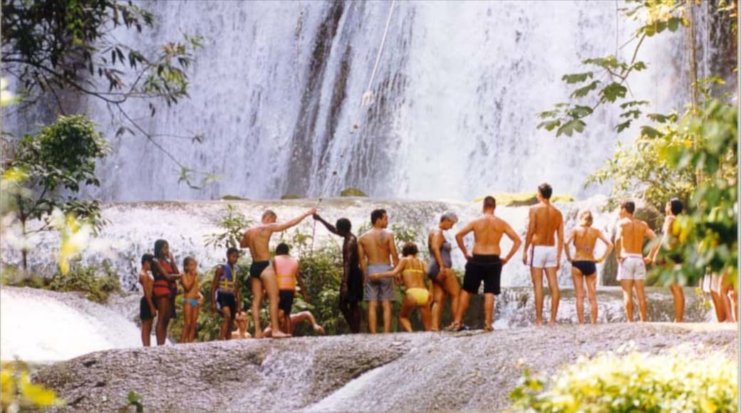 YS Falls bevat een cascade en ook een grote groep mensen