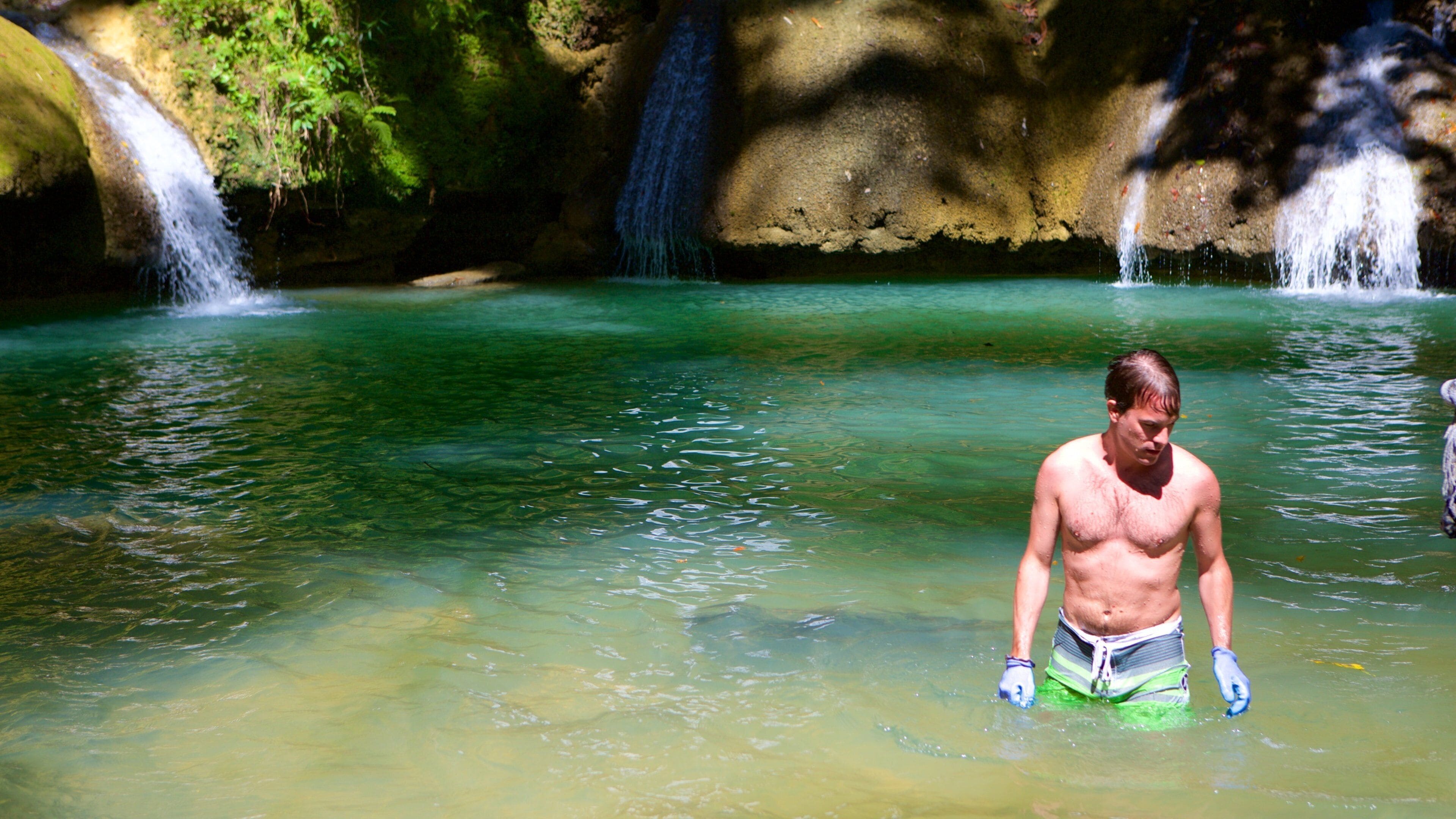 YS Falls que inclui natação, um lago ou charco e uma cascata