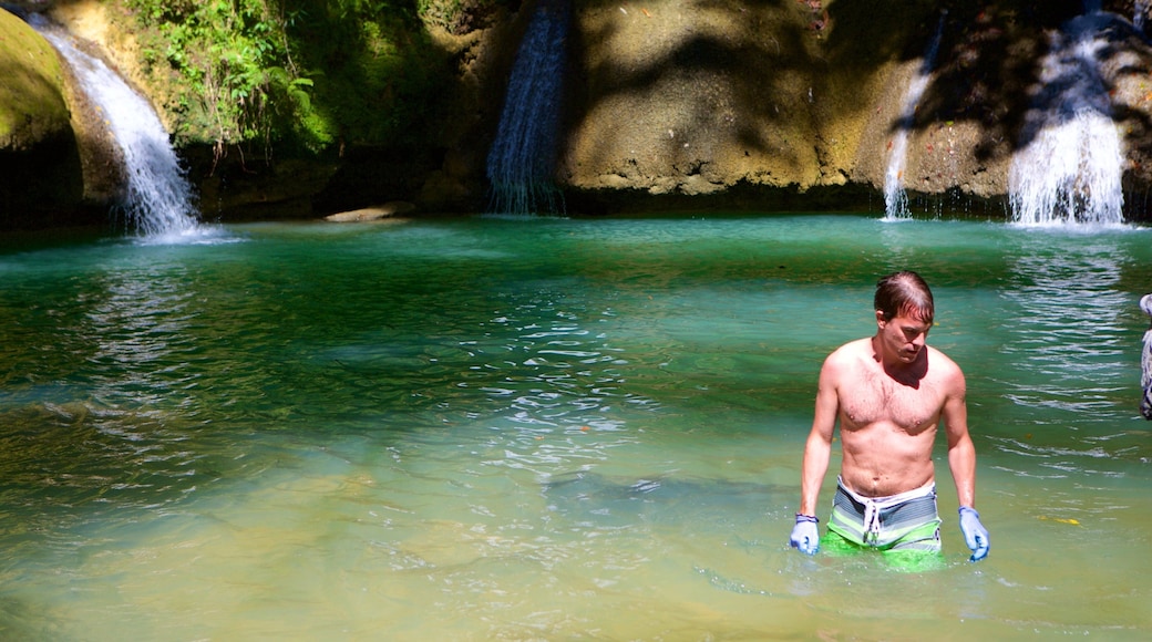 YS Falls que inclui natação, um lago ou charco e uma cascata