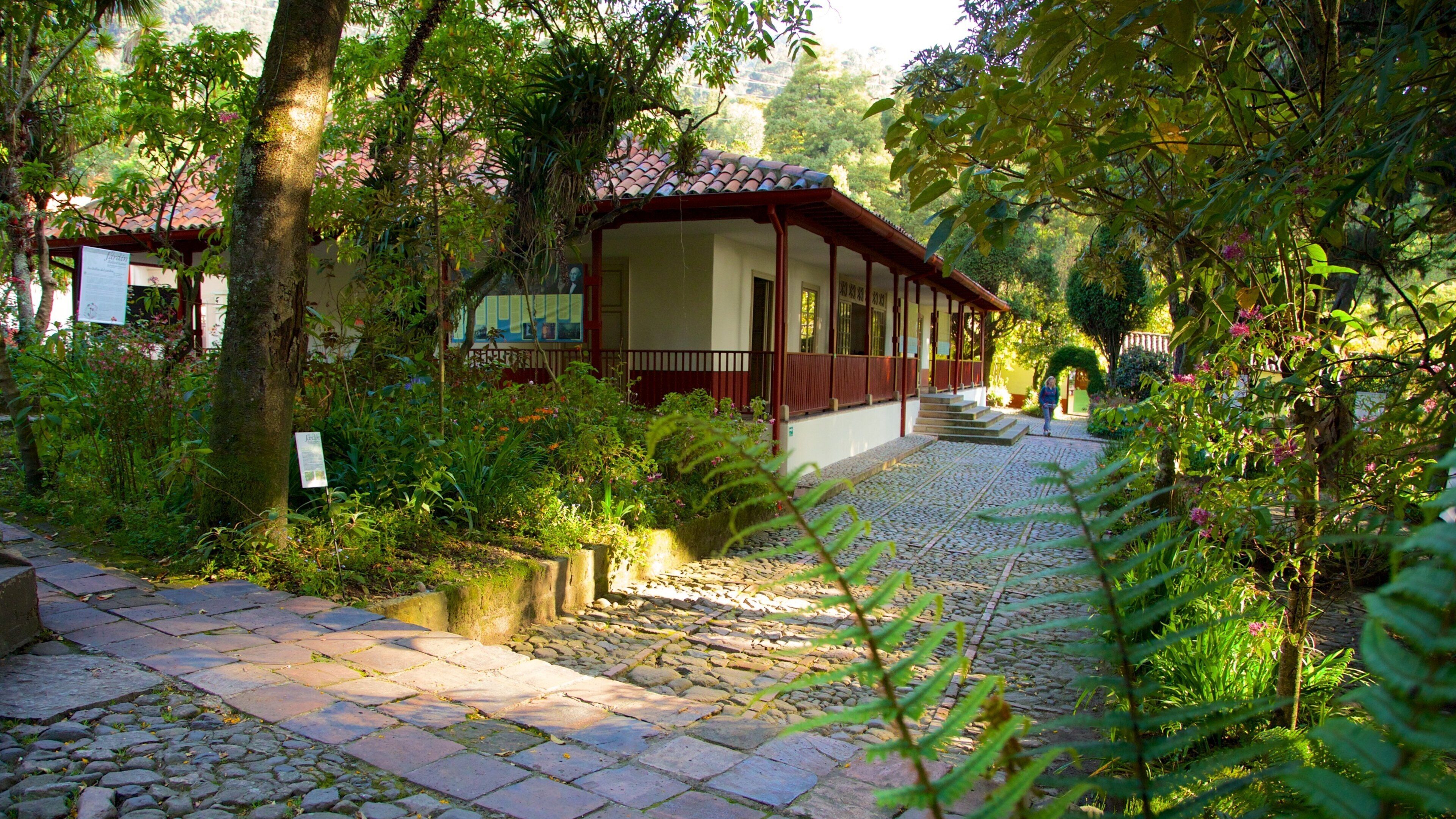 Casa Museo Quinta de Bolivar