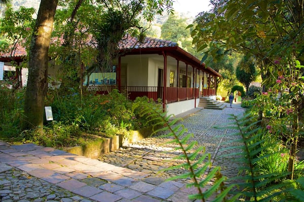 Casa Museo Quinta de Bolivar showing a garden