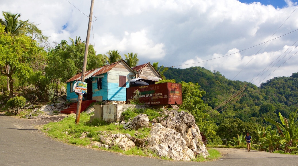Lucea ofreciendo una casa y situaciones tranquilas