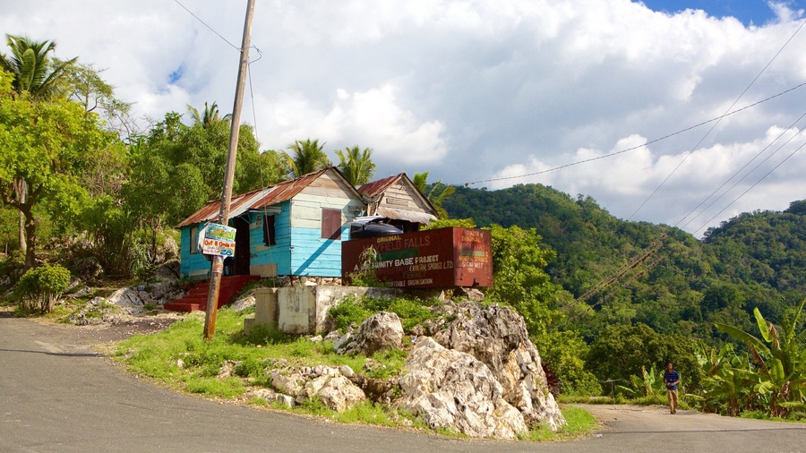 Lucea which includes tranquil scenes and a house