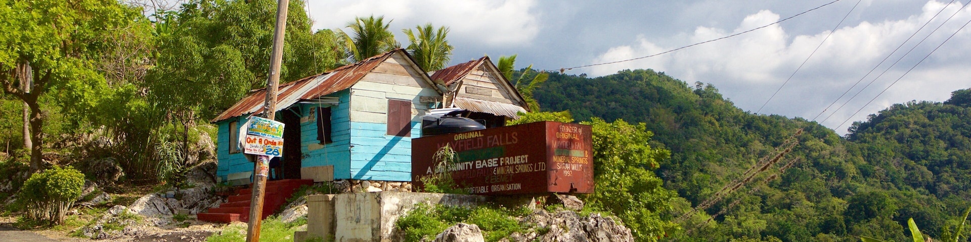Lucea showing a house and tranquil scenes