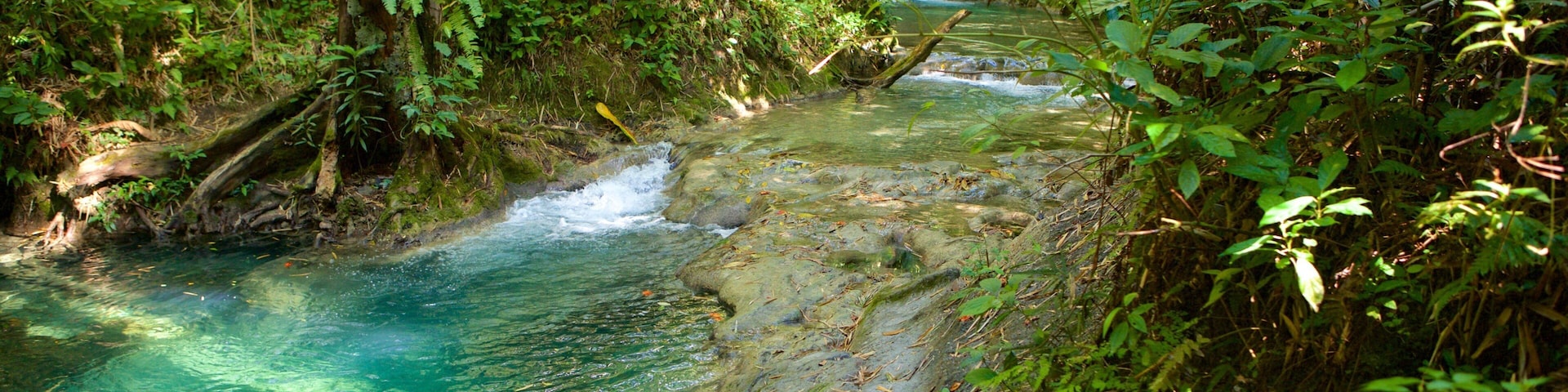 Mayfield Falls showing a river or creek and rainforest