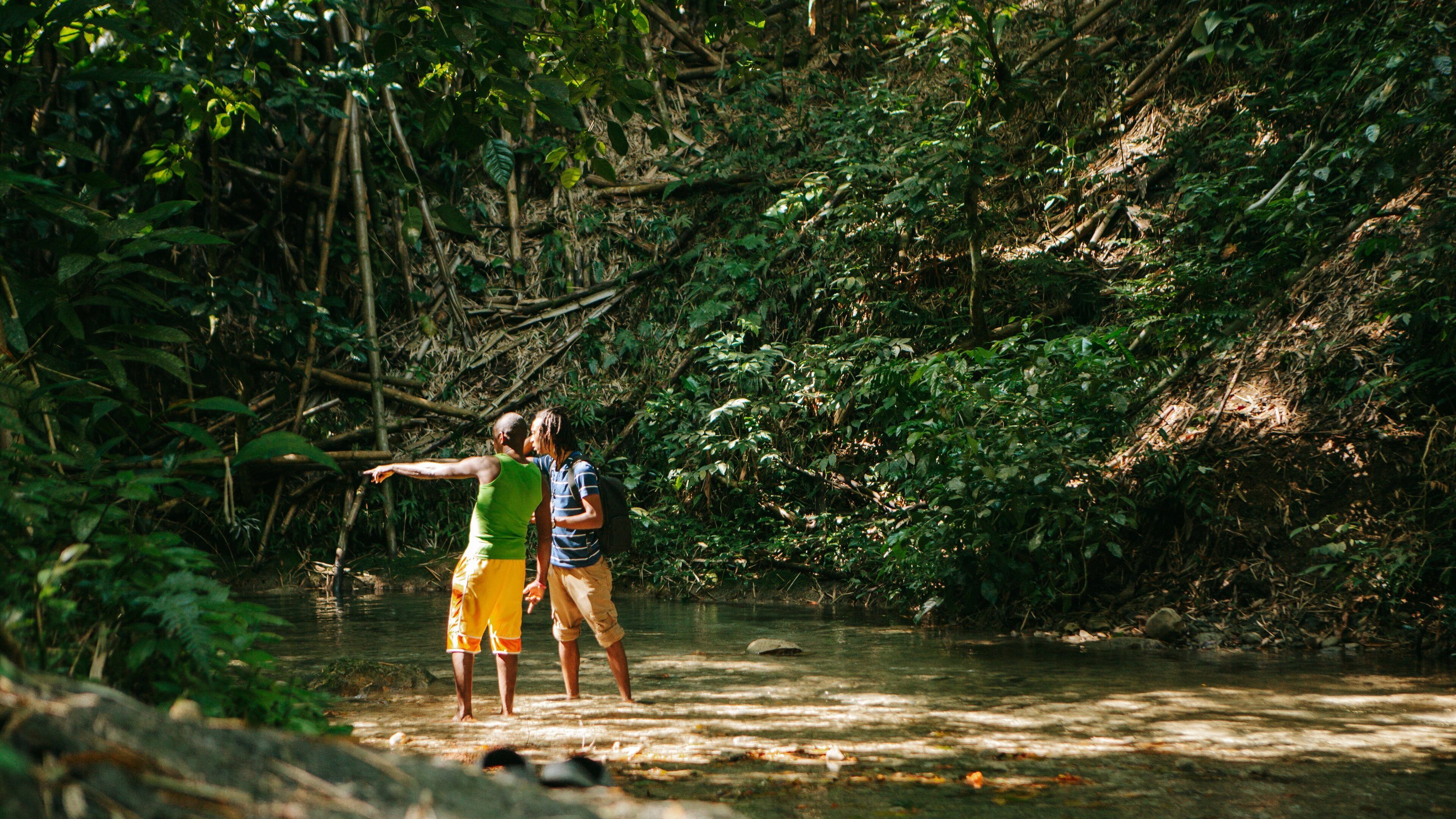 Mayfield Falls which includes forest scenes as well as a couple