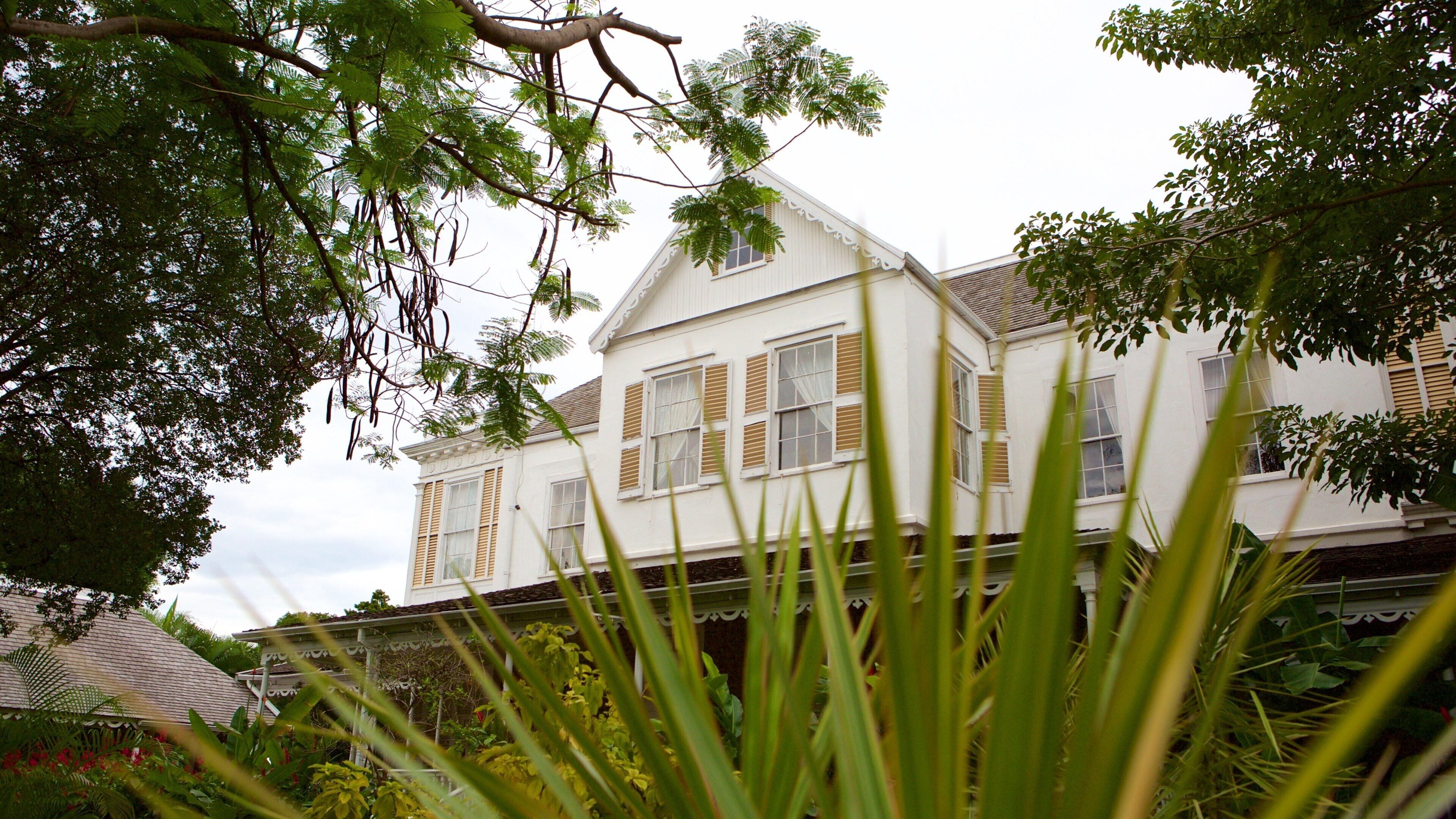 Devon House mostrando um parque e uma casa