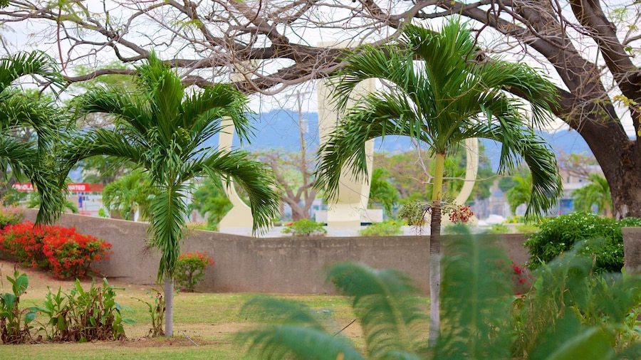 National Heroes Park showing a garden